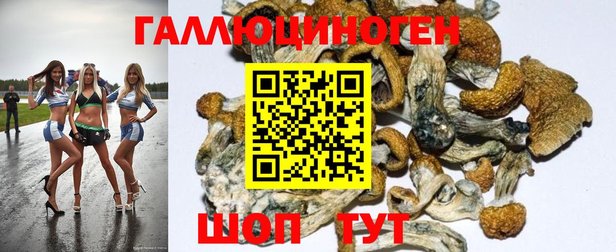Галлюциногенные грибы мицелий  Псилоцибиновые грибы Psilocybine cubensis  Вход с VPN  Арзамас 