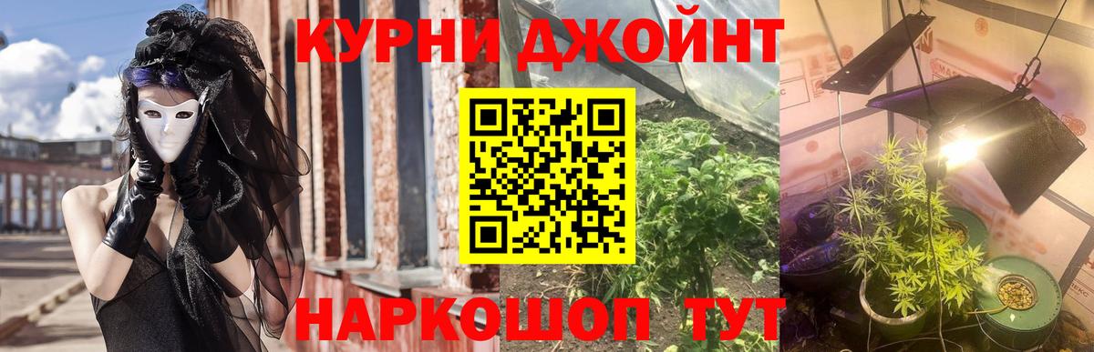 Бошки Шишки планчик Арзамас